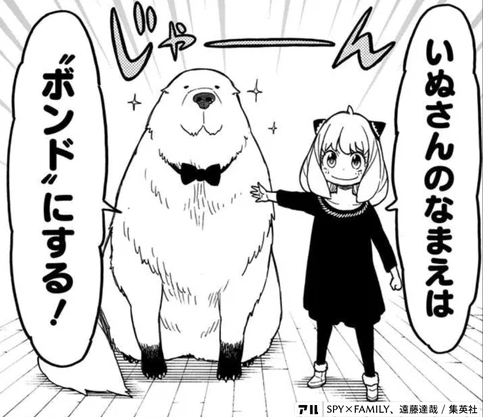 スパイファミリーの犬は何巻でアーニャと出会う 犬の名前と何のご褒美で犬が飼えたの